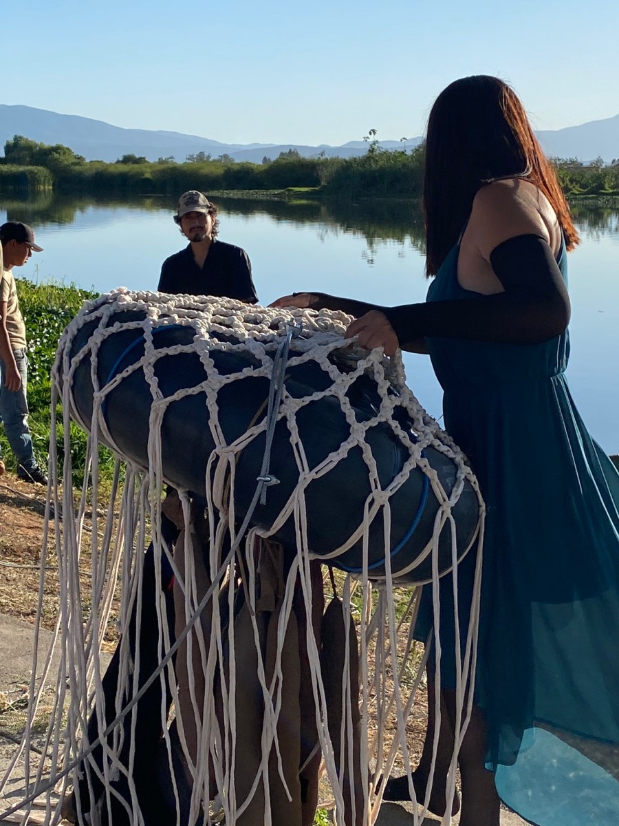 proyecto medusa – el origen&nbsp;–