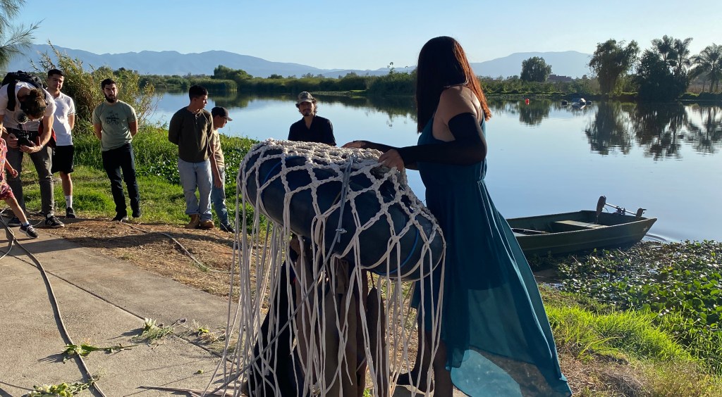 proyecto medusa – el origen&nbsp;–